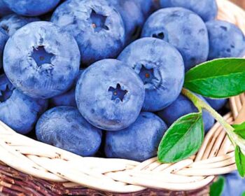 10 продуктів для 100% зору